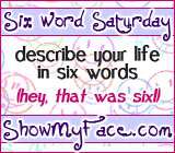 Six word Saturday button